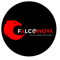 falconova-solutions