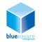blue-square-management