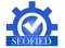 seofied-it-services