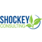 shockey-consulting-services