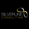 silverline-consulting