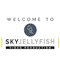 sky-jellyfish-video-production