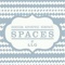 spaces-llg