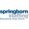 springborn-staffing-ldt-human-capital-solutions