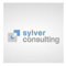 sylver-consulting