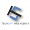 techsoft-web-agency