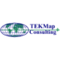 tekmap-consulting
