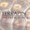 terrapin-architecture-pc