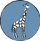 tiny-giraffe-pictures