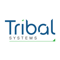 tribal-systems