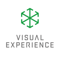 visual-experience