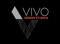 vivo-design-studios