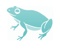 cleverfrog-website-design