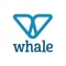 whale-creative