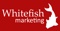 whitefish-marketing