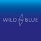 wild-blue-digital