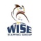 wise-staffing-group