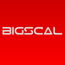 Bigscal Technologies Pvt Ltd.