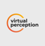 Virtual Perception