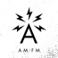 AM/FM Inc.