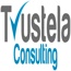 Trustela Consulting- Digital Marketing Agency in Florida USA