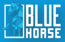 BlueHorse Software Solution Pvt Ltd