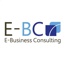 E-Business Consulting