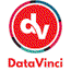 DataVinci Analytics Agency