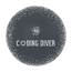 Coding Diver