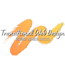 Transitional Web Design LLC