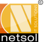 Netsol IT Solutions Pvt. Ltd.