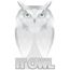 IT OWL, LLC