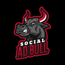Social Ad Bull