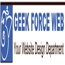 Geek Force Web
