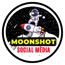 MoonShot Social Media - SEO London Ontario