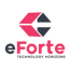 eForte Solutions Inc