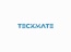 TECKMATE Business Consulting LLP