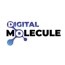 Digital Molecule