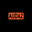 Audaz Group LLC