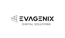 Evagenix Digital Solutions