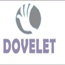 Daweilai Sensing Technology Development Company