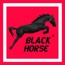 Black Horse Agency