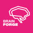 BrainForge IT: Software &amp; Consulting
