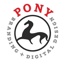 PONY branding + digital design