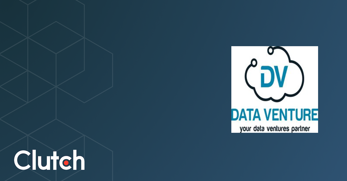 Data Venture Solutions Ltd. - Services & Company Info