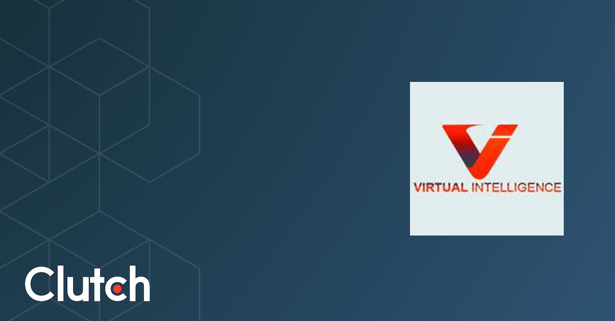 Virtual Intelligence - Services & Company Info