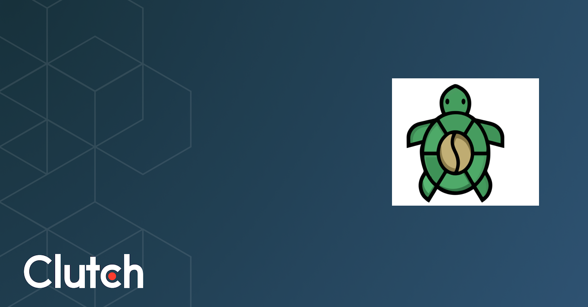 Launch Turtle - Services & Company Info