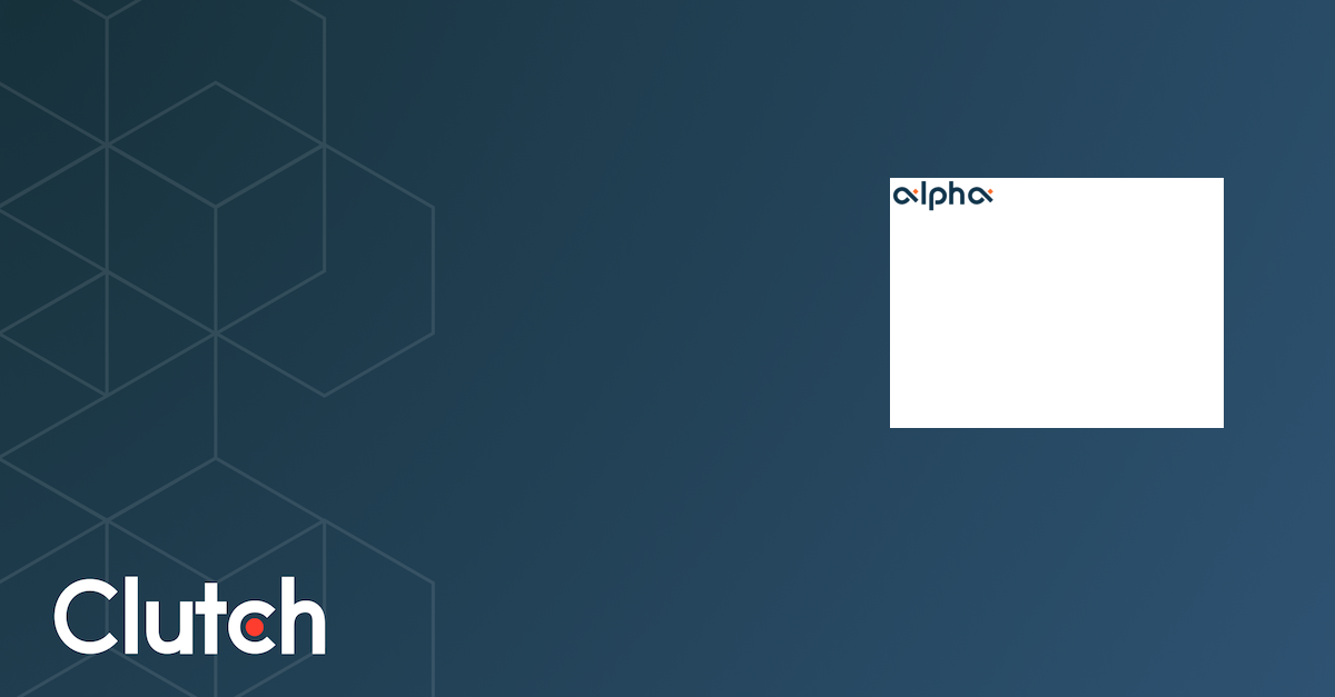 The Alpha Team - Services & Company Info