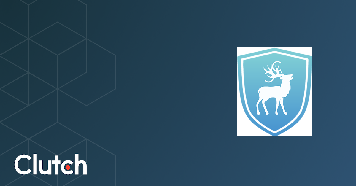 Cyber Chasse - Services & Company Info