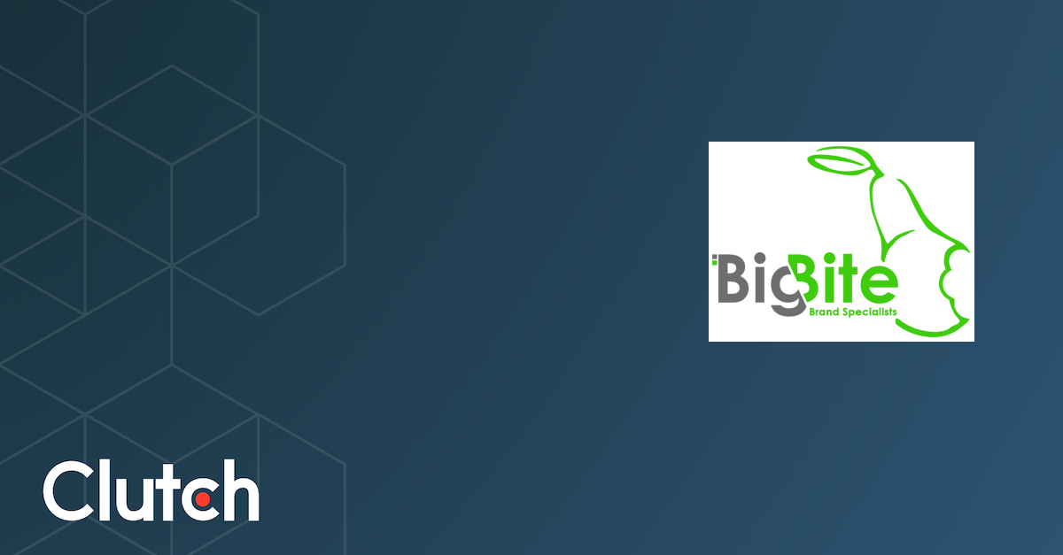 Big Bite Consulting - Services & Company Info